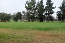 Enlarge photo 31