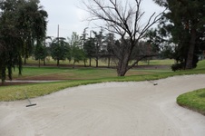 Enlarge photo 33