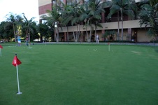 Enlarge photo 61