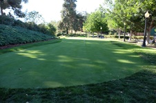 Enlarge photo 72