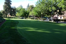 Enlarge photo 73