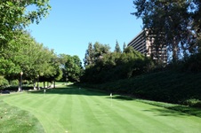 Enlarge photo 79