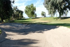 Enlarge photo 81