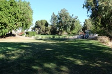 Enlarge photo 83