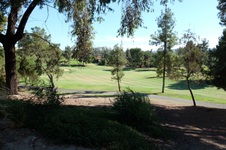 Enlarge photo 84