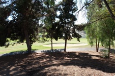 Enlarge photo 85