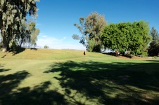 Enlarge photo 87