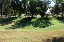 Enlarge photo 92