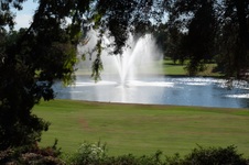 Enlarge photo 95