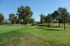 Enlarge photo 63
