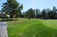 Enlarge photo 69