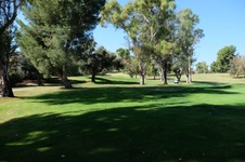 Enlarge photo 72