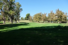 Enlarge photo 73