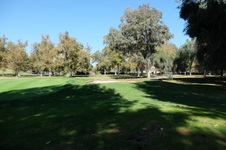 Enlarge photo 74