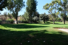 Enlarge photo 76