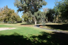 Enlarge photo 78