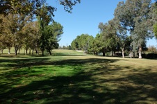 Enlarge photo 82