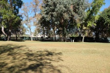 Enlarge photo 83