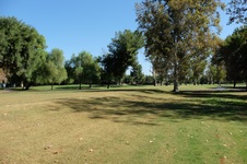 Enlarge photo 84