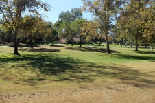 Enlarge photo 85