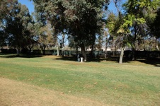 Enlarge photo 87