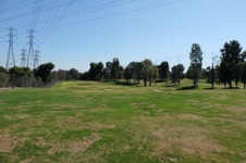 Enlarge photo 91
