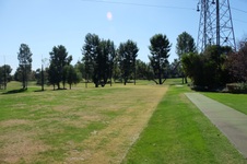 Enlarge photo 92
