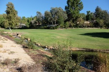 Enlarge photo 35