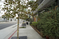 Enlarge photo 21