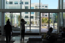Enlarge photo 186