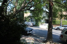 Enlarge photo 113