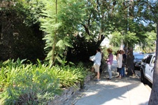 Enlarge photo 110