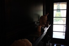 Enlarge photo 37