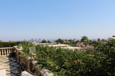 Enlarge photo 95