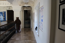 Enlarge photo 55