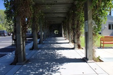 Enlarge photo 125