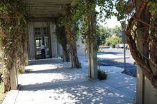 Enlarge photo 119