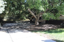 Enlarge photo 46
