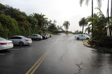 Enlarge photo 59