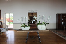 Enlarge photo 46