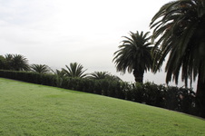 Enlarge photo 39