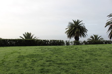 Enlarge photo 31
