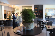 Enlarge photo 151