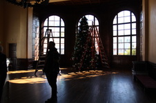 Enlarge photo 137