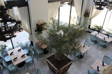 Enlarge photo 11