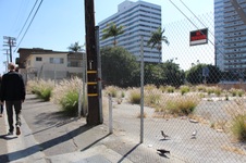 Enlarge photo 95