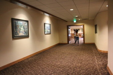Enlarge photo 41