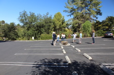 Enlarge photo 8