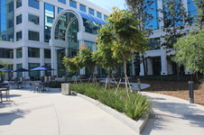 Enlarge photo 35