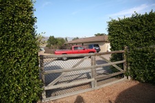 Enlarge photo 31
